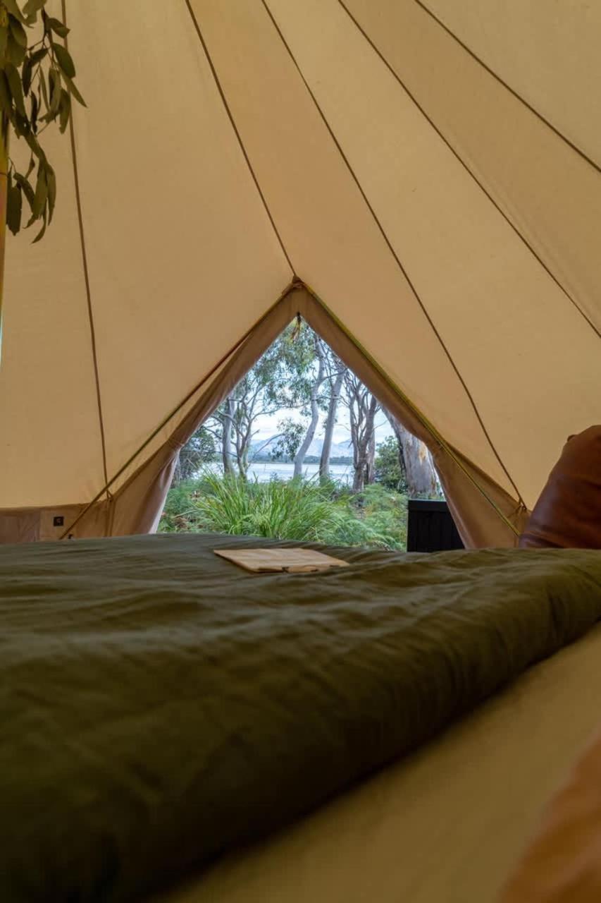 Numie - Freycinet Peninsula - Glamping - Heated - Waterfront Hotel Coles Bay Buitenkant foto