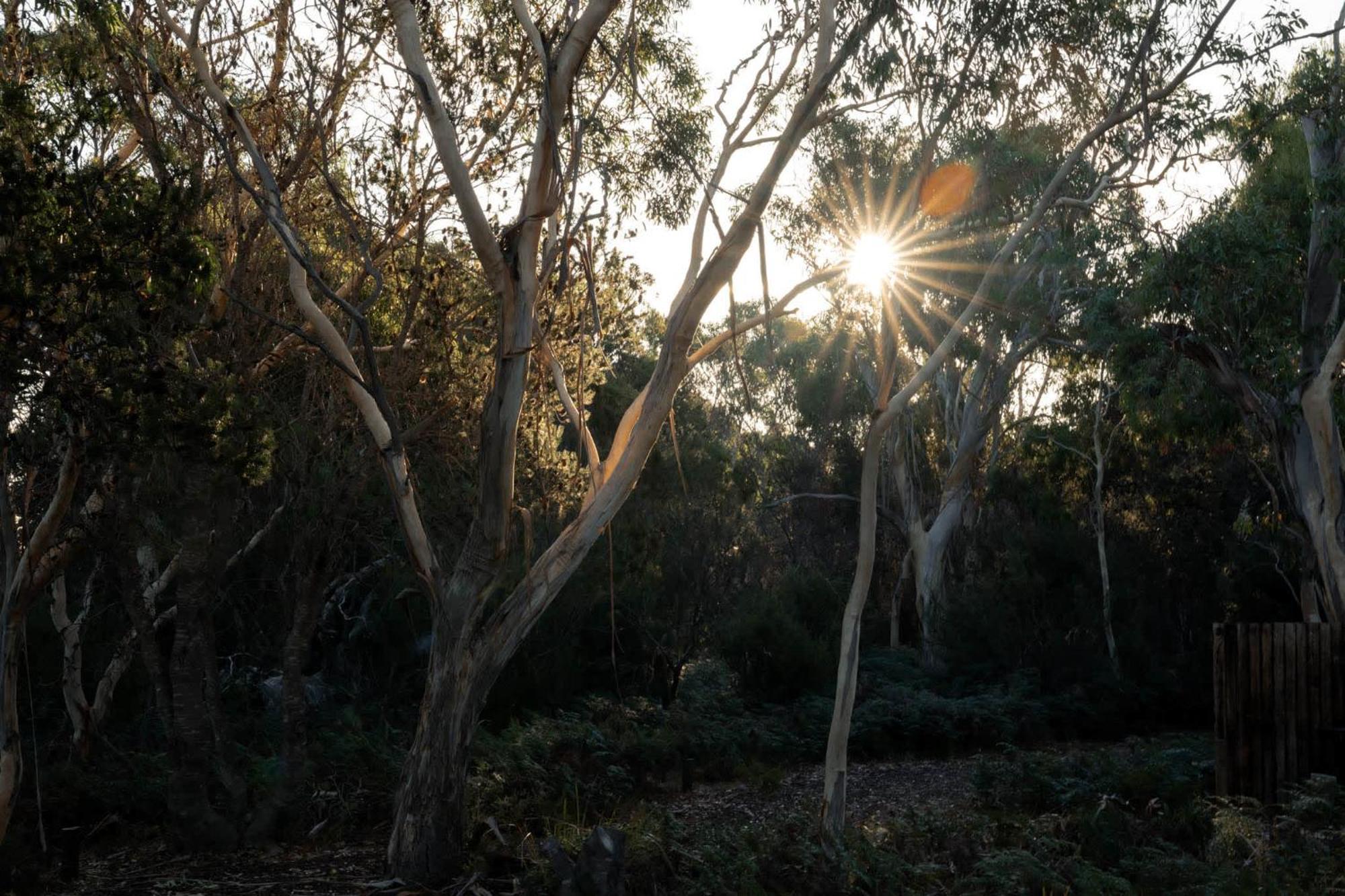Numie - Freycinet Peninsula - Glamping - Heated - Waterfront Hotel Coles Bay Buitenkant foto