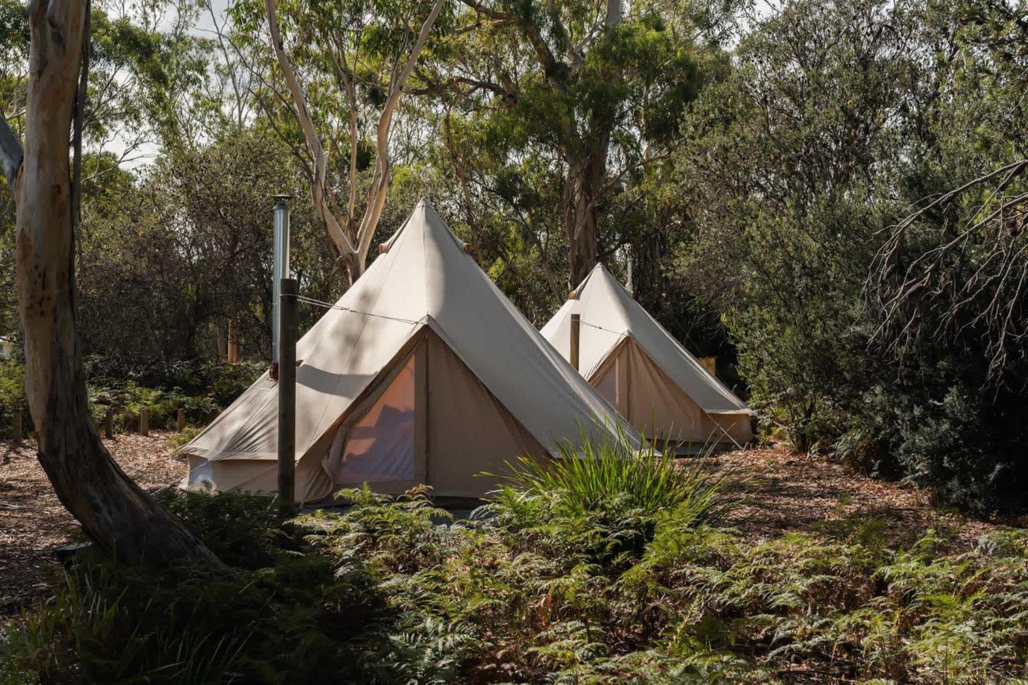 Numie - Freycinet Peninsula - Glamping - Heated - Waterfront Hotel Coles Bay Buitenkant foto