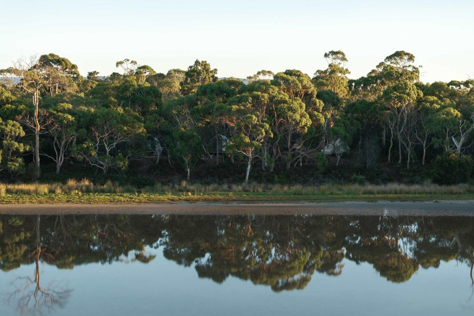 Numie - Freycinet Peninsula - Glamping - Heated - Waterfront Hotel Coles Bay Buitenkant foto