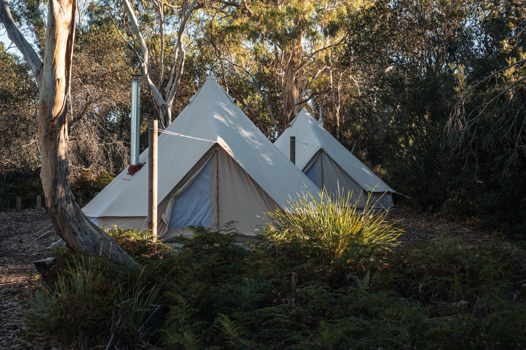 Numie - Freycinet Peninsula - Glamping - Heated - Waterfront Hotel Coles Bay Buitenkant foto
