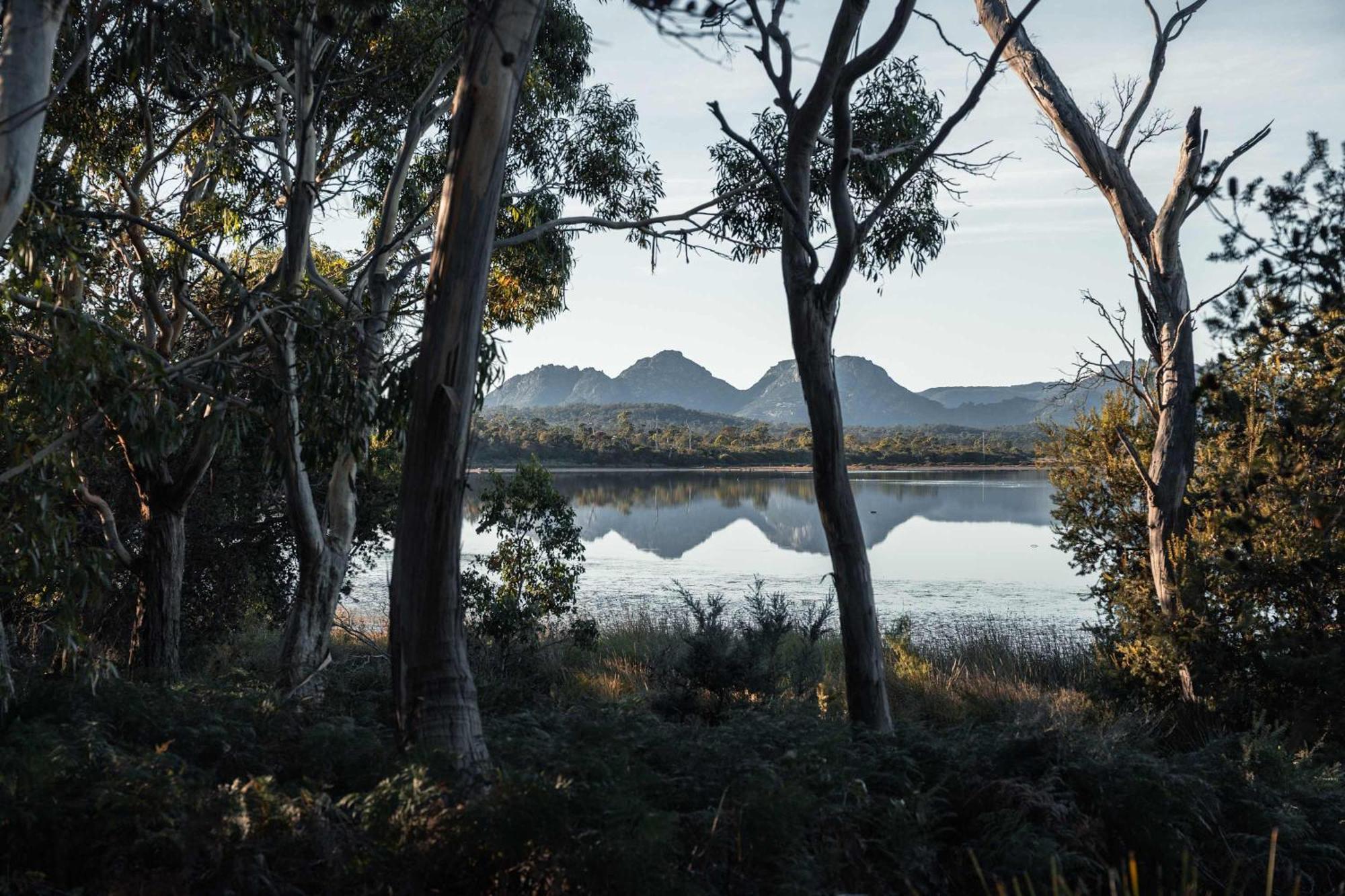 Numie - Freycinet Peninsula - Glamping - Heated - Waterfront Hotel Coles Bay Buitenkant foto