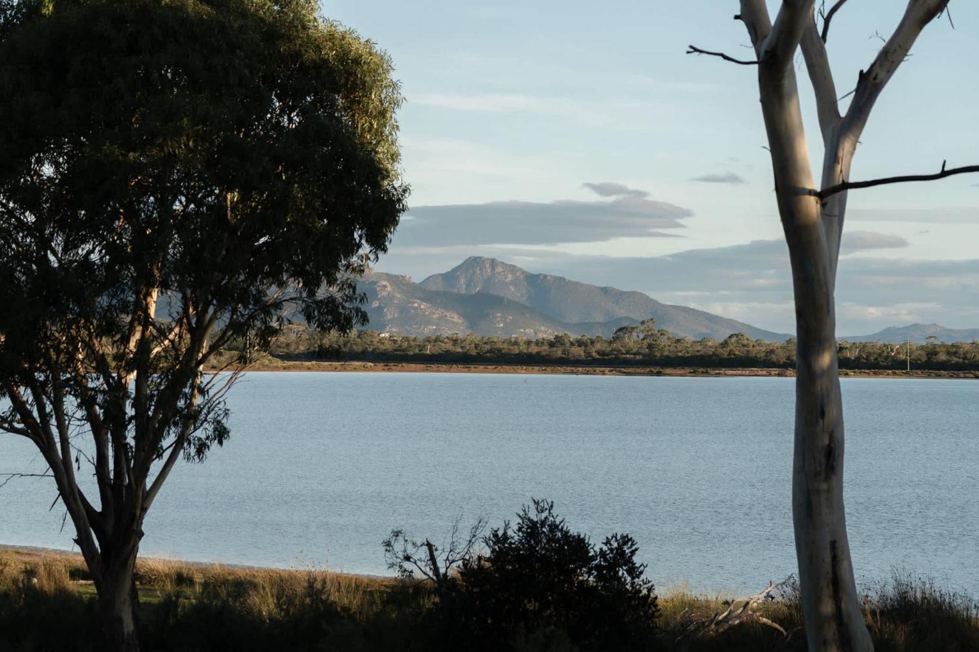 Numie - Freycinet Peninsula - Glamping - Heated - Waterfront Hotel Coles Bay Buitenkant foto
