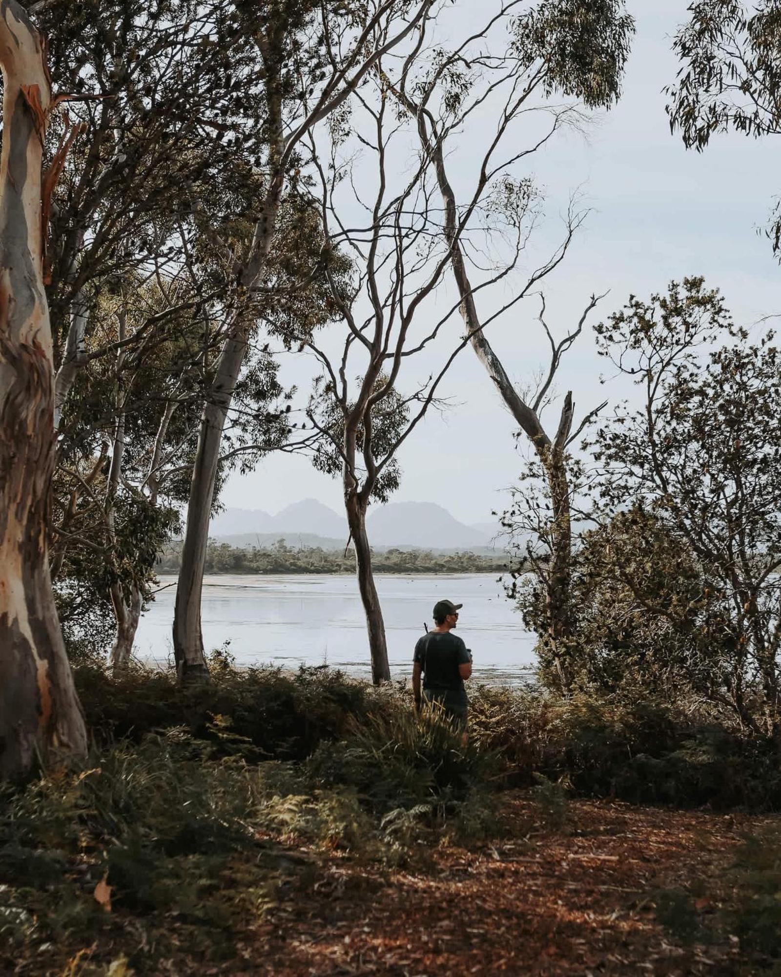 Numie - Freycinet Peninsula - Glamping - Heated - Waterfront Hotel Coles Bay Buitenkant foto